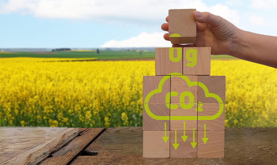 Building solutions in a low-carbon economy