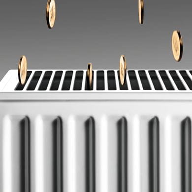 Financing energy renovations government support